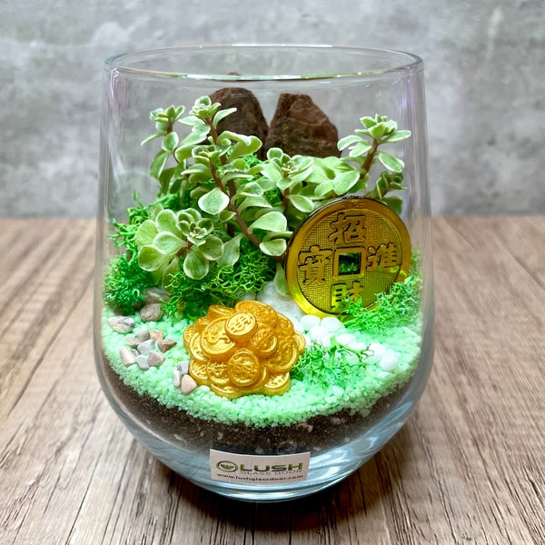 Glass Succulent Terrarium