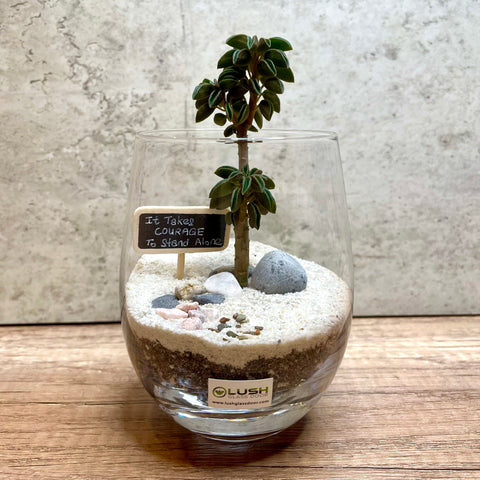 "It Takes Courage To Stand Alone" Theme Succulent Terrarium