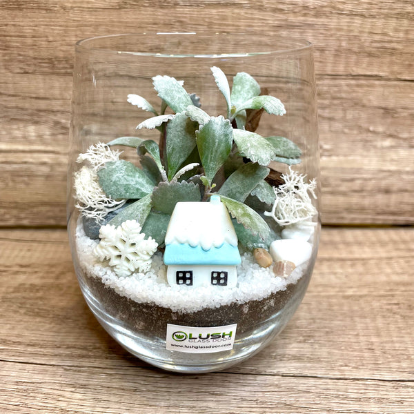 Icy Blue Wonderland Christmas Succulent Terrarium