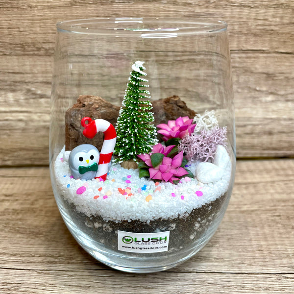 Candy Owl Christmas Succulent Terrarium