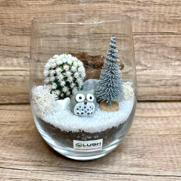 Hoot & Holly Christmas Succulent Terrarium