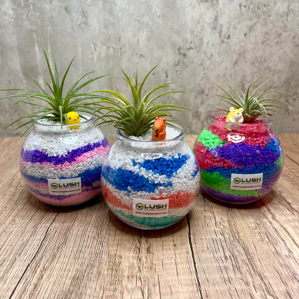 Kids Joyful Sandart Airplant Terrarium Workshop