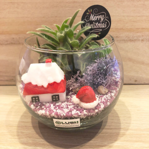 It's Beginning to Look Like Christmas Succulent Terrarium