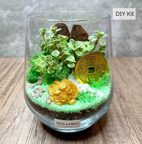 Kit terrarium DIY personalizzato con design