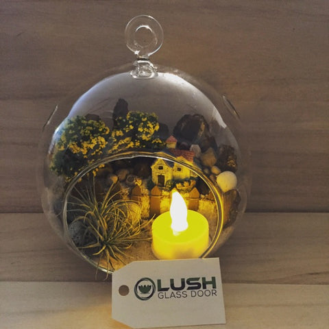 Customized Light Up Airplant Terrarium by Lush Glass Door Singapore